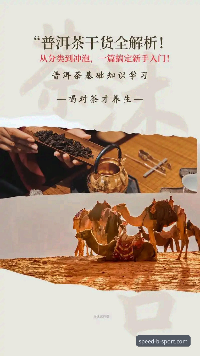 从新手到熟手：BSPORT竞猜平台使用指南，资深用户陈浩的实战经验分享